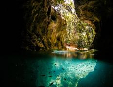 开云APP-东契奇对飙上海国王，41+12+8背后，篮球世界再无边界