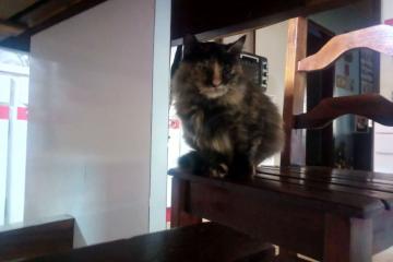 开云体育官方网站-爱德华兹单骑破阵斩落骑士，黄蜂群起压制捍卫主场