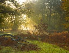 开云体育-竞速与逆袭，F1年度争冠焦点战与步行者掀翻深圳队的双重奏