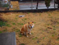 开云体育登录-蓝白幕后的幽灵，当坎特在阿根廷对阵韩国的战役中完全展现