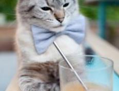 开云体育入口-抢七烽火映天王！塔图姆一剑封喉，历史之夜铸就传奇丰碑