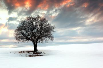 开云体育app-政治决胜局与篮球总决赛，凯塞多与马克龙的关键时刻启示录