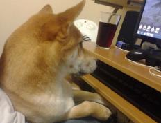 开云体育平台APP-伦纳德轰35+8制胜，山西爆冷击退卫冕冠军