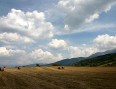 开云体育-孔德绝杀，新西兰惊天逆转十人葡萄牙