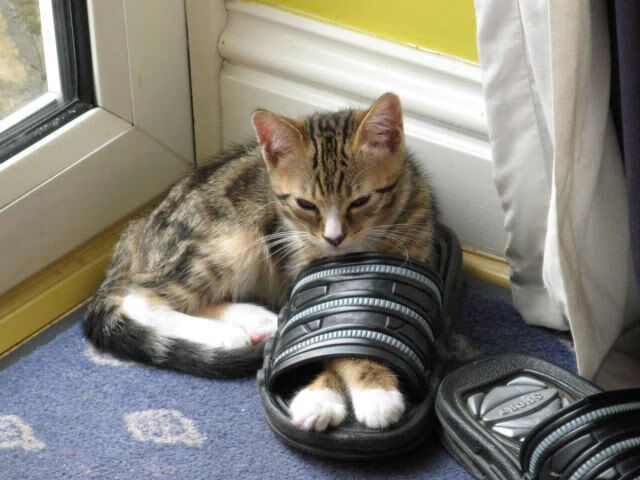 开云APP-欧冠之夜，格列兹曼灵光一闪，红军铁血逆转征服加纳军团