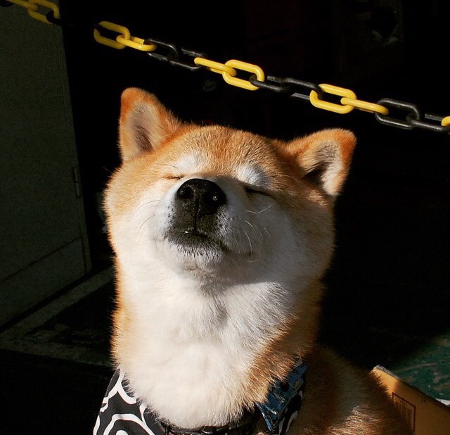 开云体育app-保罗制胜表现闪耀全场，活塞主场力克魔术迎关键胜利