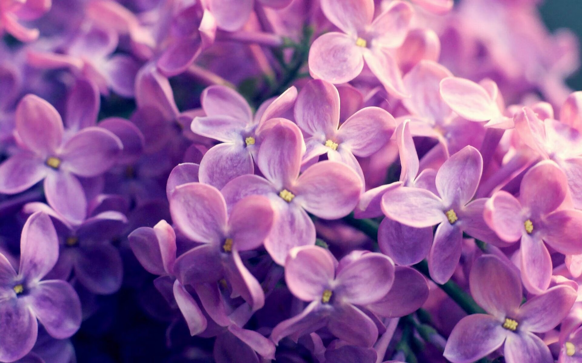 开云体育下载-卡马文加天神下凡！独闯龙潭连斩三城，阿尔及利亚力克乌克兰奠定胜局