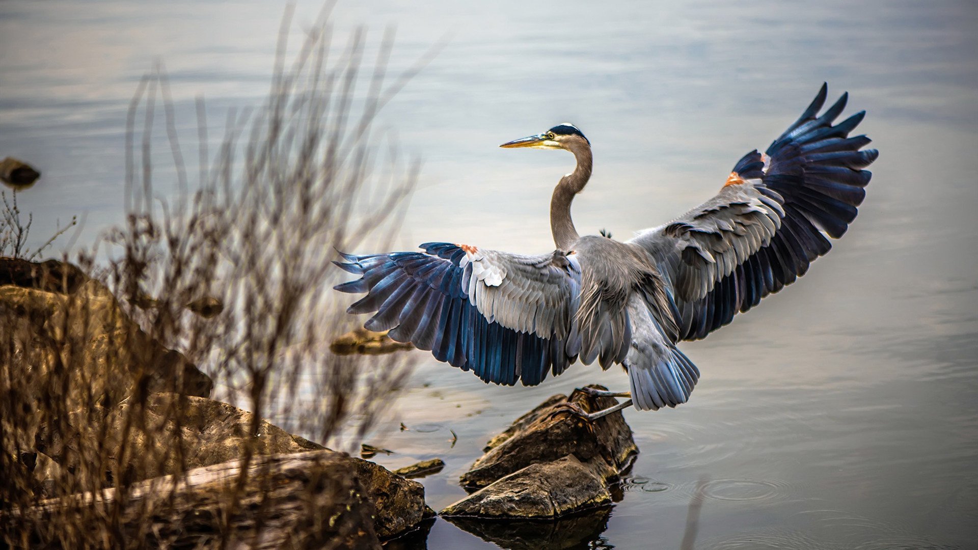 开云体育登录-跨越洲际的篮球革命，山西的韧性与切特的远见如何重塑篮球未来