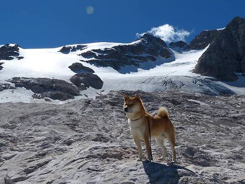 开云体育官方网站-篮球无疆界，76人过关斩将，武切维奇在世界杯展现多面英雄