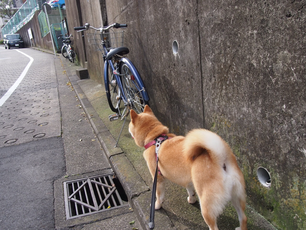 开云体育下载-杜兰特死神降临,热火末节逆转掀翻深圳!