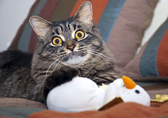 开云体育官方网站-夜色沸腾，王者萨拉赫在西决舞台的终极掌控