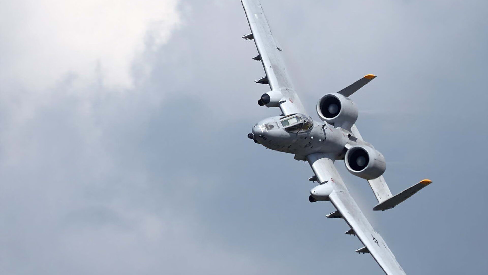 开云体育官方网站-洪都拉斯对阵乌克兰，帕尔默防守端锁死对手的战术胜利