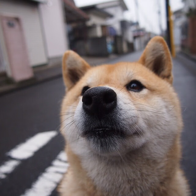 开云官网-加时鏖战，雄鹿险胜太阳，浓眉挺身定乾坤