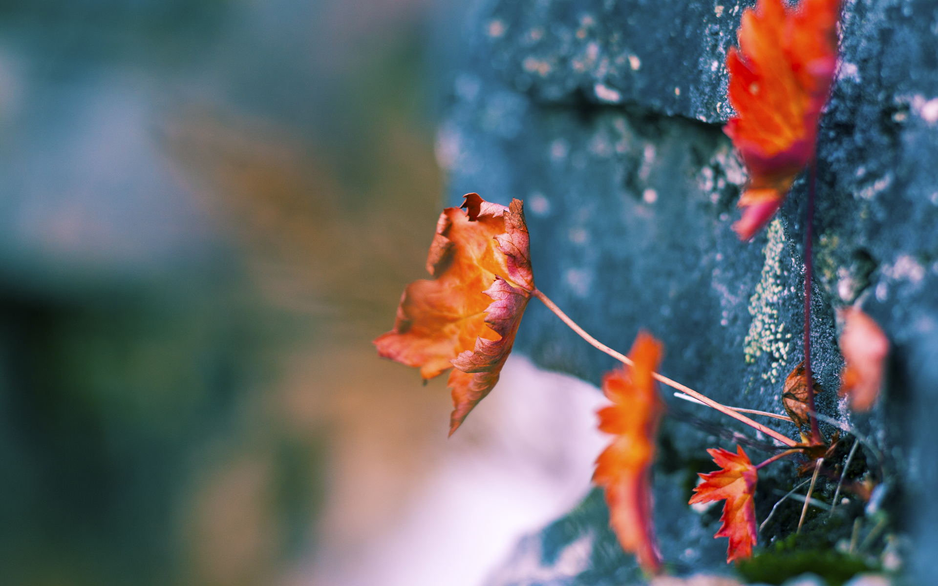 开云体育平台APP-英格拉姆末节封神彰显大场面本色,鹈鹕攻防一体强势击退雷霆