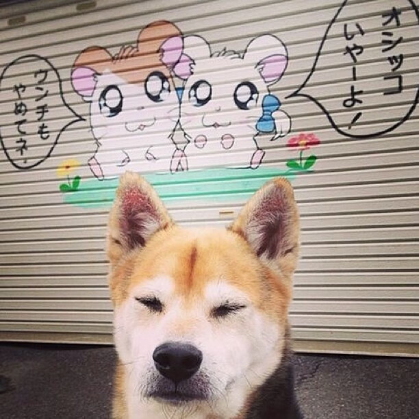 开云体育下载-西甲国家德比之夜,詹姆斯的完美跨界传奇