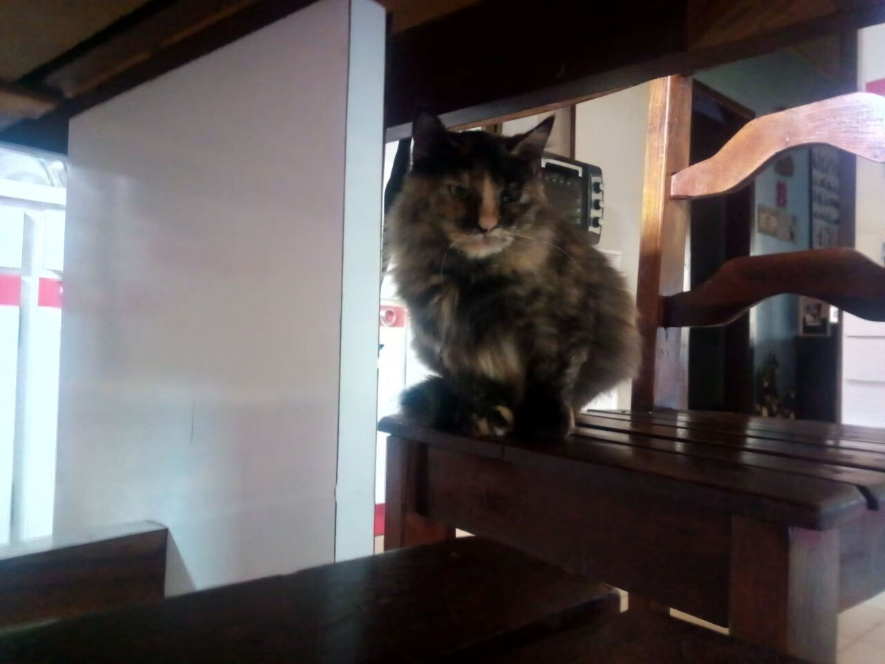 开云体育官方网站-爱德华兹单骑破阵斩落骑士，黄蜂群起压制捍卫主场