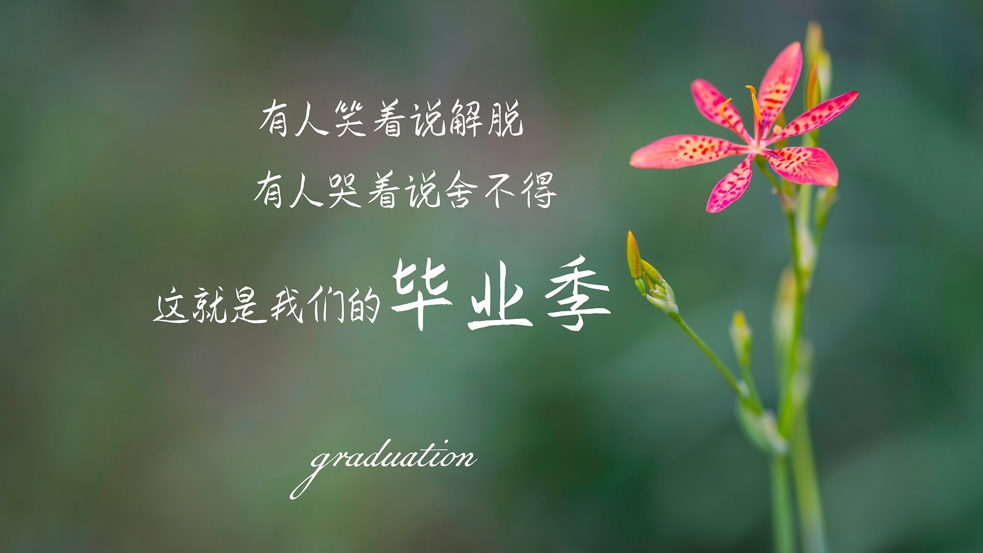 开云下载-中场斗牛士，加维以少年之躯，在亚特兰大与塞维利亚的鏖战中定义存在