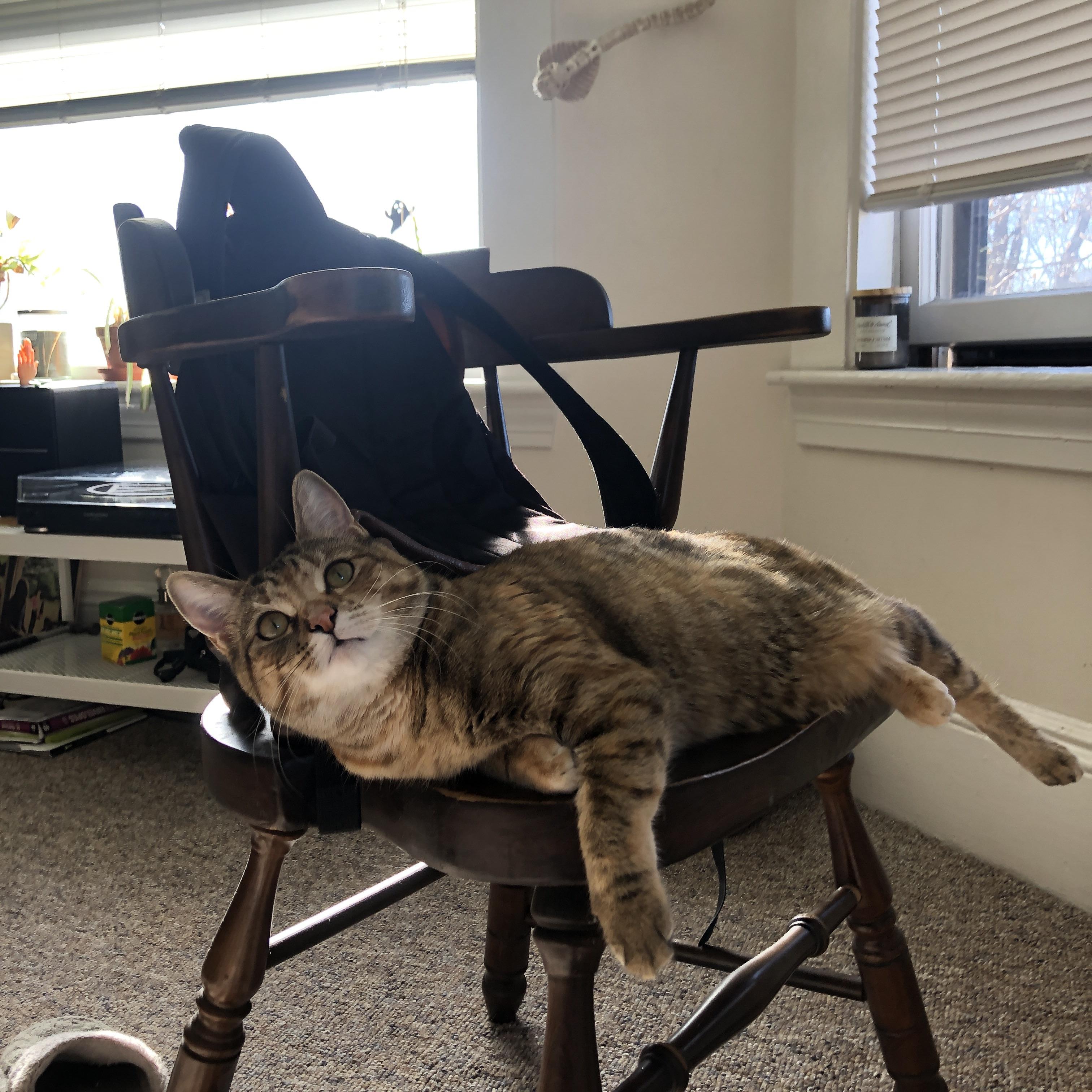 开云体育登录-桑巴风暴席卷基辅，戈麦斯用统治级数据点燃巴西胜利引擎