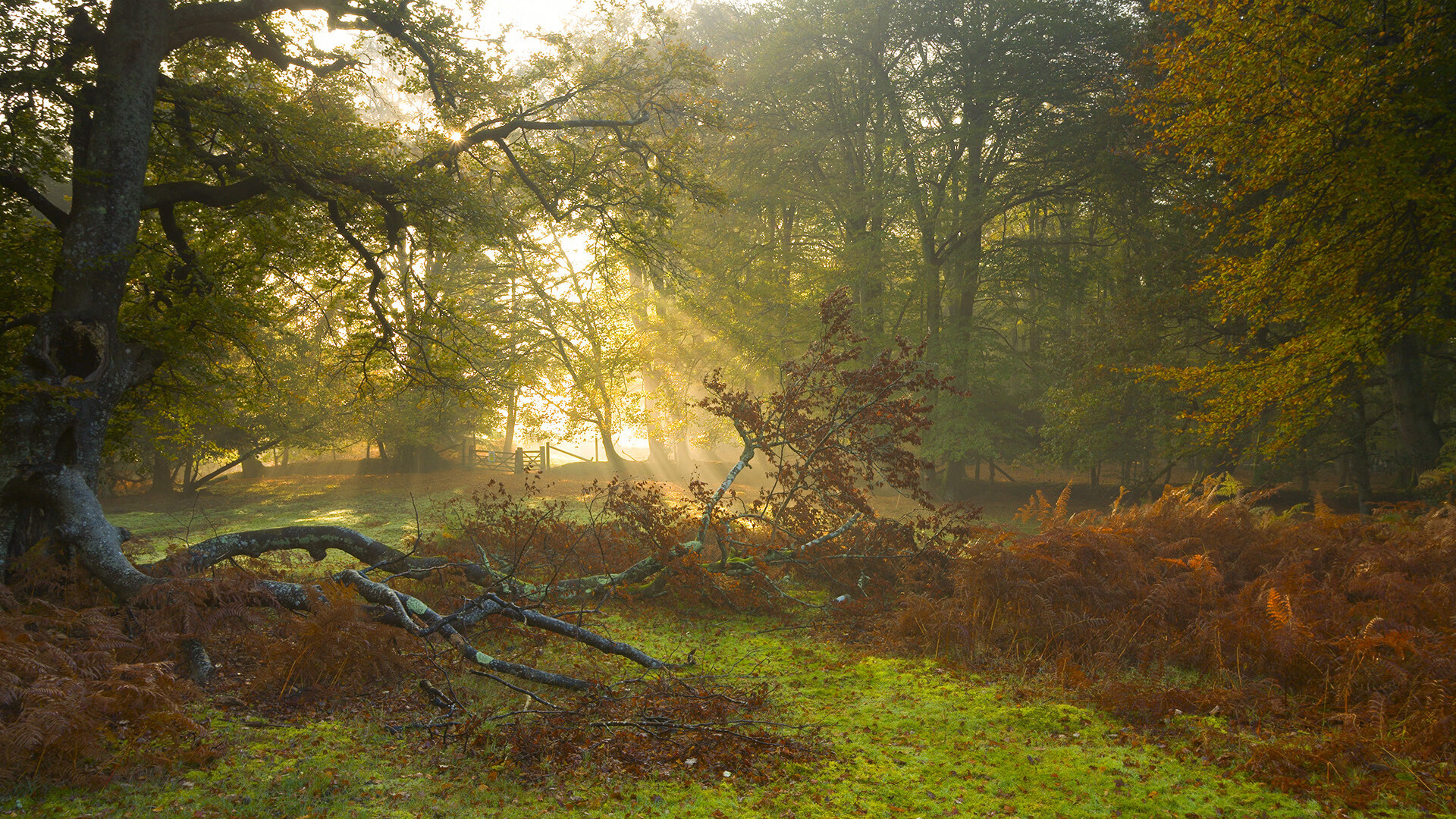 开云体育-竞速与逆袭,F1年度争冠焦点战与步行者掀翻深圳队的双重奏