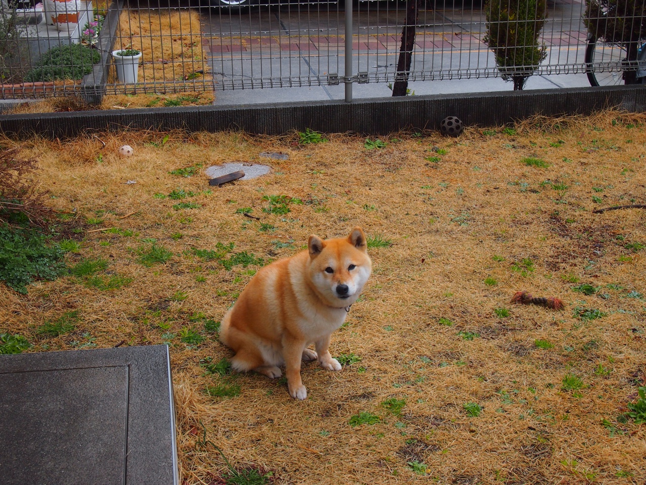 开云体育登录-蓝白幕后的幽灵，当坎特在阿根廷对阵韩国的战役中完全展现