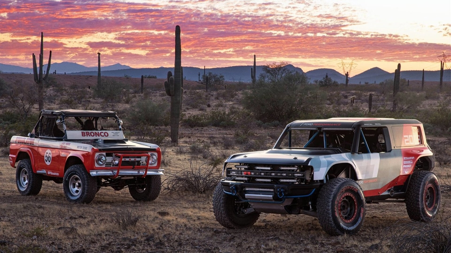 开云体育登录-蓝白幕后的幽灵，当坎特在阿根廷对阵韩国的战役中完全展现