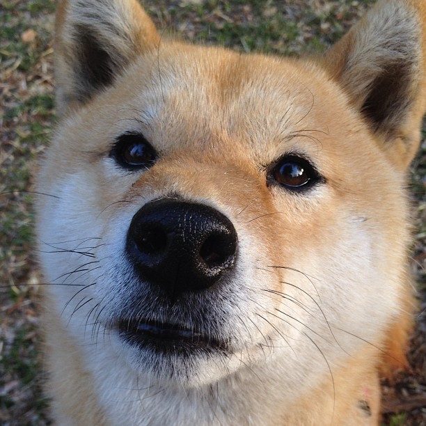 开云体育下载-猛龙队防守封锁山西队,詹姆斯关键表现引领胜利