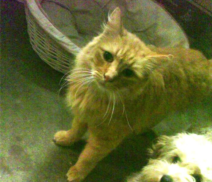 开云体育APP下载-独步天下！巴尔韦德爆发引领乌拉圭打穿奥地利钢铁防线