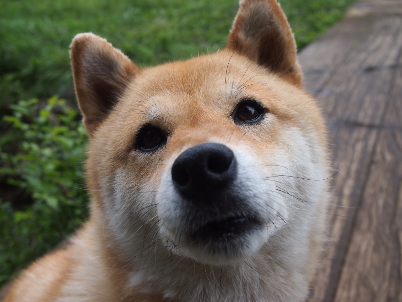 开云体育下载-末节风云突变!吉林队逆转老鹰,切特狂轰防线主宰胜负